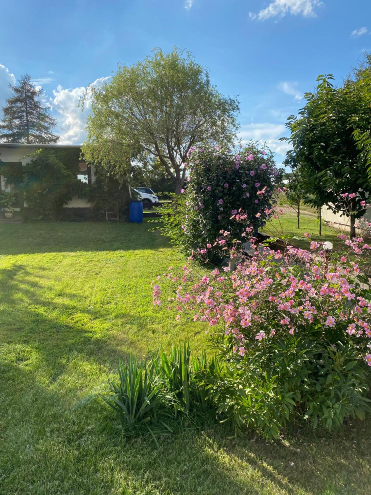 Sonnenterrasse